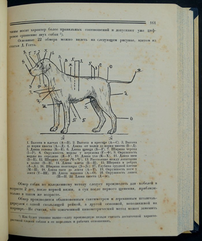 Сборник ДОКСа «Зима 1924–1925 гг.»: кинология, ветеринария и хроника донского собаководства (под ред. А.А. Рази, 1925)