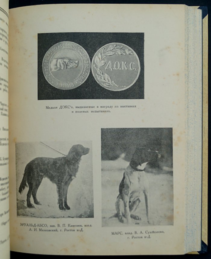 Сборник ДОКСа «Зима 1924–1925 гг.»: кинология, ветеринария и хроника донского собаководства (под ред. А.А. Рази, 1925)