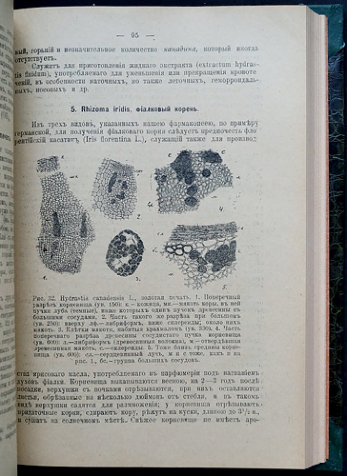 Русские лекарственные растения: полное практическое руководство (2 тома в одном переплёте)