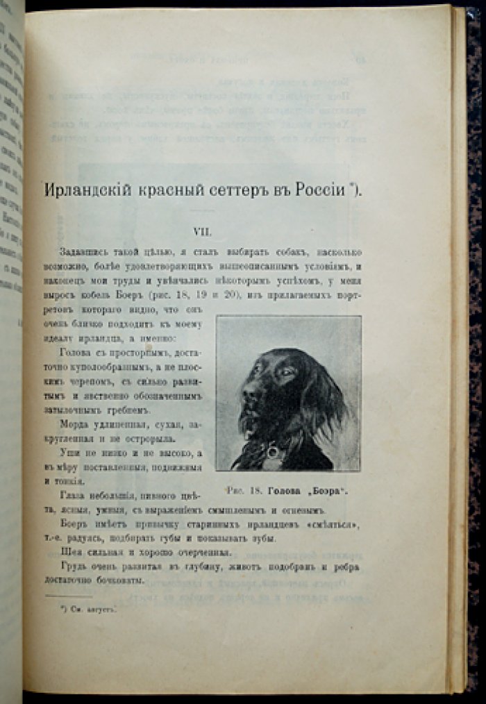 «Природа и охота». 1902. Комплект за второе полугодие (Книги VII–XII: июль–декабрь)