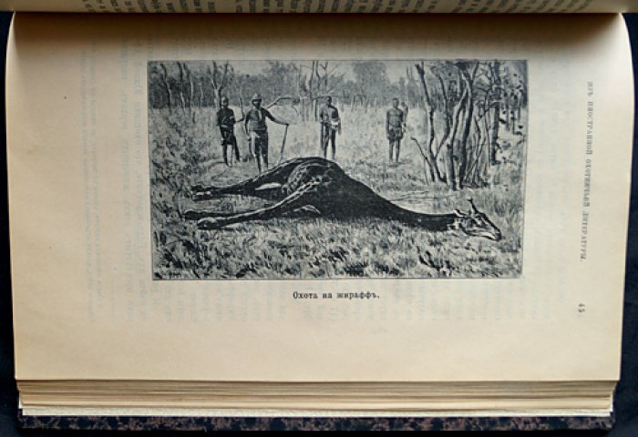 «Природа и охота». 1902. Комплект за второе полугодие (Книги VII–XII: июль–декабрь)