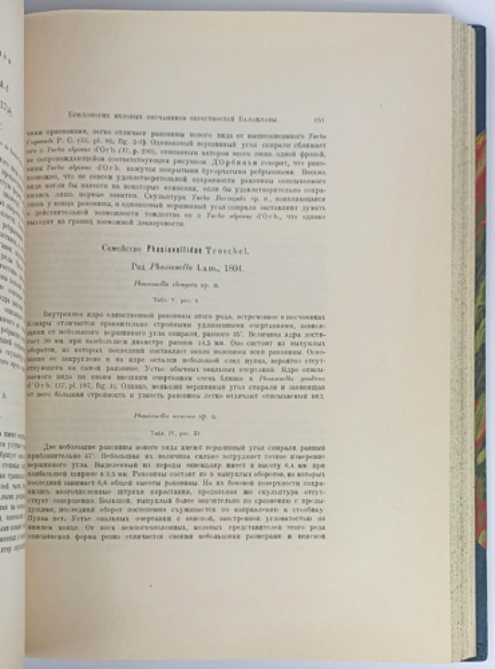 Фауна юры и нижнего мела Крыма и Кавказа: монография В.Ф. Пчелинцева (Труды Геологического комитета, Новая серия, вып. 172)