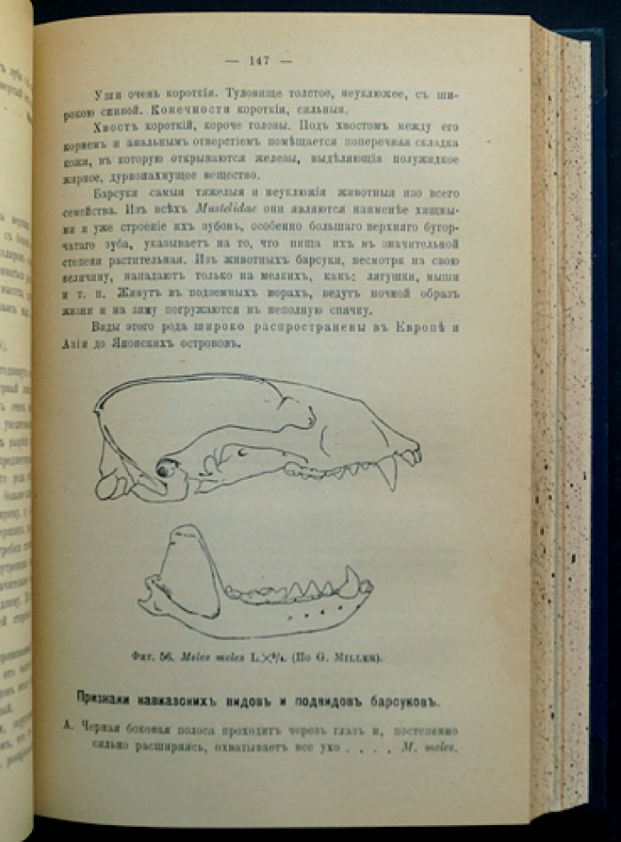 Млекопитающие Кавказского края. Собрание трудов (двухтомник и приложения: обзор исследований и первое дополнение)