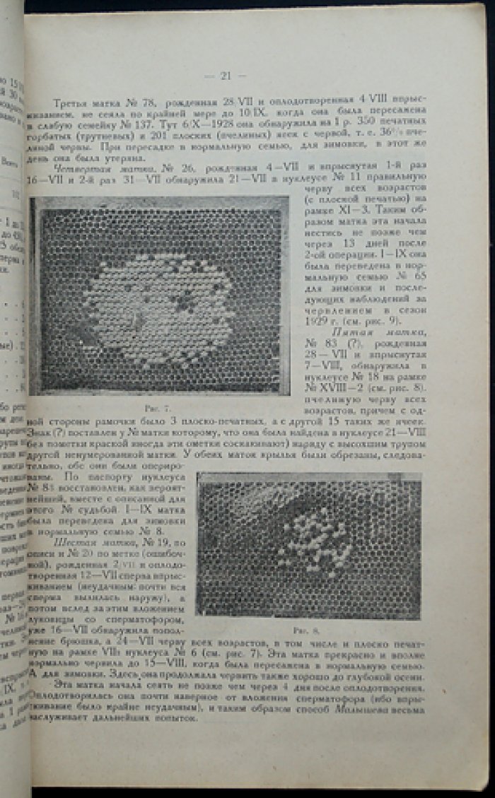«Опытная пасека»: ежемесячный научно‑практический журнал, 1929 год (комплект № 1–12)