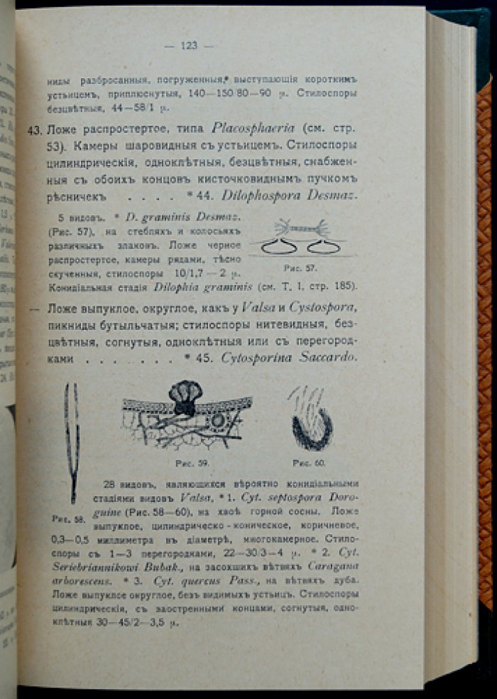 Определитель грибов. Полный комплект: Том I (Совершенные грибы) и Том II (Несовершенные грибы), 2-е изд. (переработанное и расширенное)