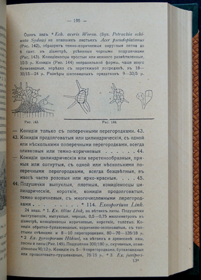 Определитель грибов. Полный комплект: Том I (Совершенные грибы) и Том II (Несовершенные грибы), 2-е изд. (переработанное и расширенное)