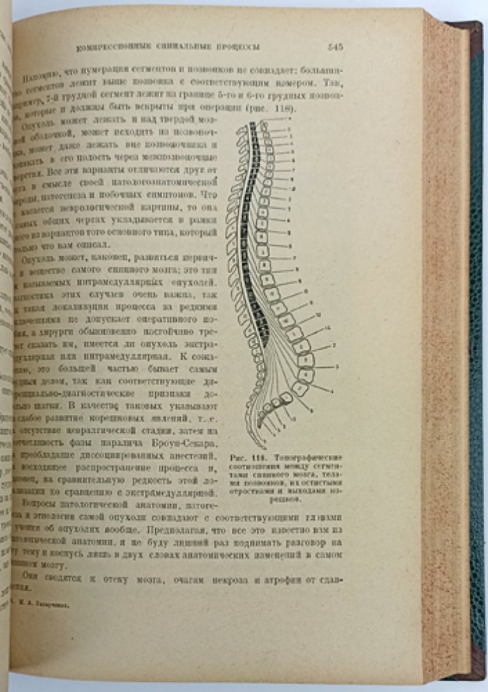 Курс нервных болезней. Классическое руководство по общей и специальной неврологии (1930)