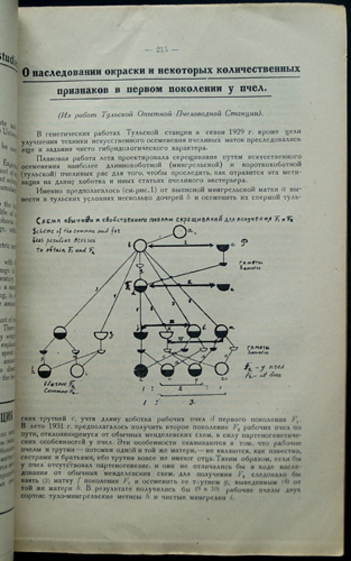 «Опытная пасека»: научно-практический журнал по пчеловодству (1930, комплект № 1–12)