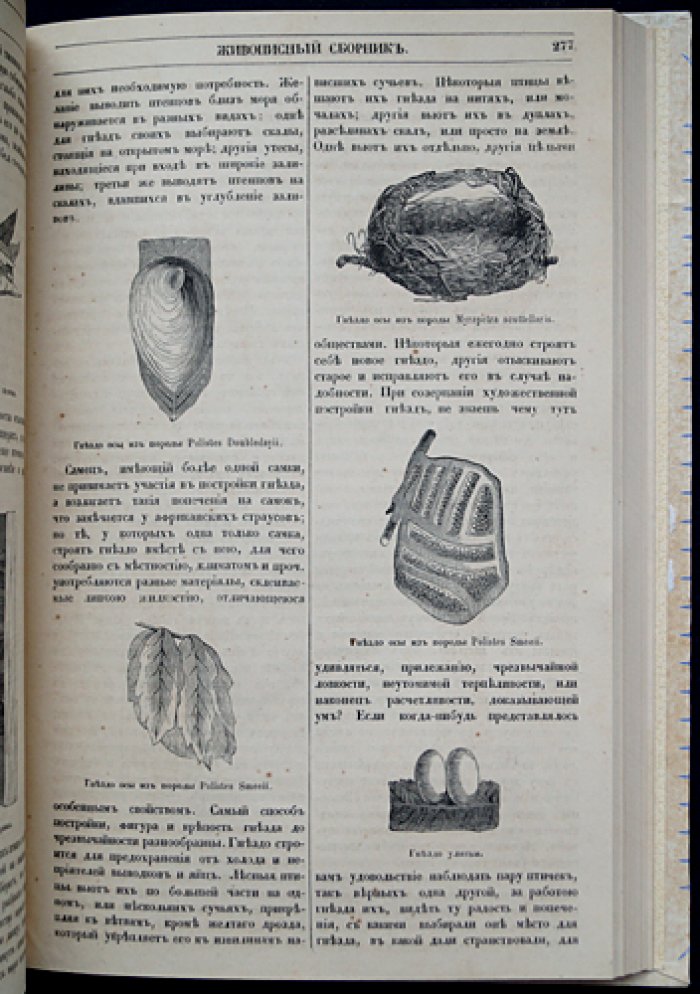 Живописный сборник замечательных предметов (1858): науки, искусство, промышленность и быт