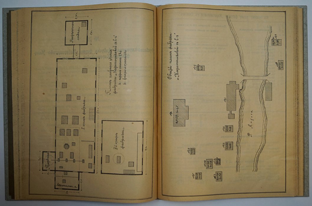 Материалы для оценки фабрик и заводов Новгородской губернии (1901): комплект трех выпусков в одном переплете