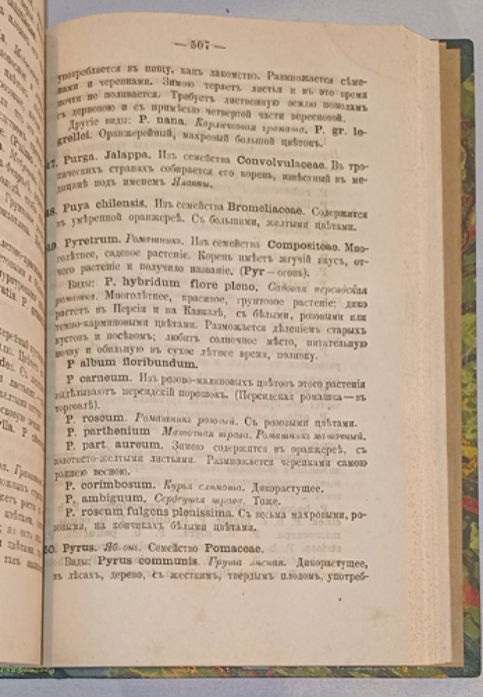 Словарь растений: дикорастущие и разводимые на огородах, в комнатах, садах, теплицах и оранжереях (с уходом и отличительными признаками)