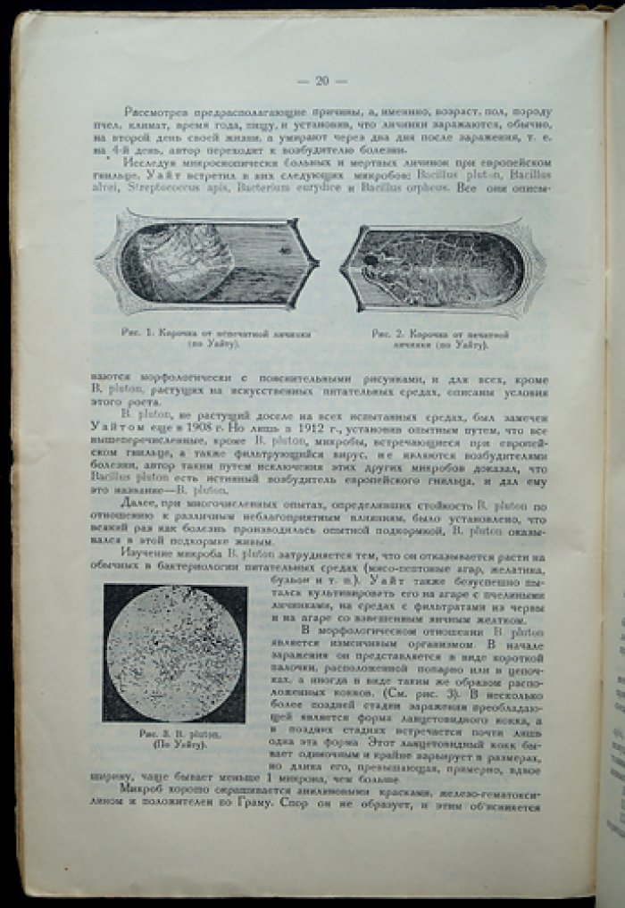 Опытная пасека: ежемесячный научно‑практический журнал. Комплект № 1–12 за 1928 год