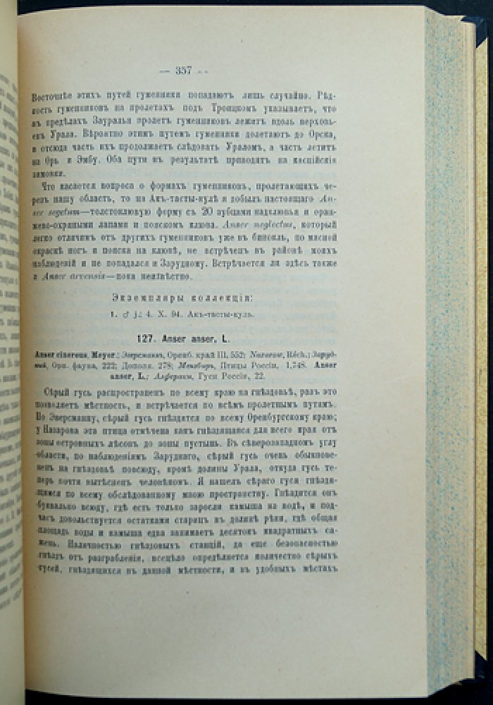 Птицы Средней Киргизской степи. Тургайская область и восточная часть Уральской губернии (монография)