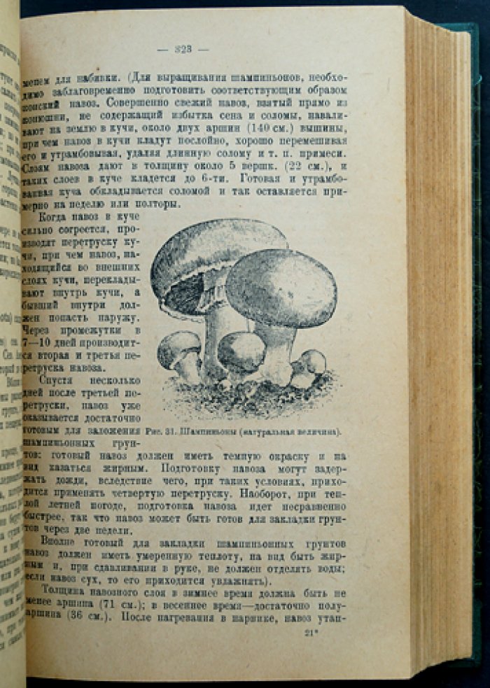 Русский огород, питомник и плодовый сад: практическое руководство (издание 1929)