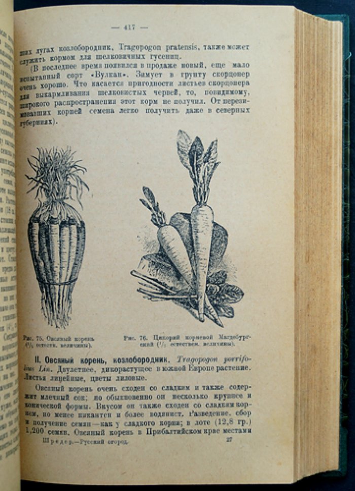Русский огород, питомник и плодовый сад: практическое руководство (издание 1929)