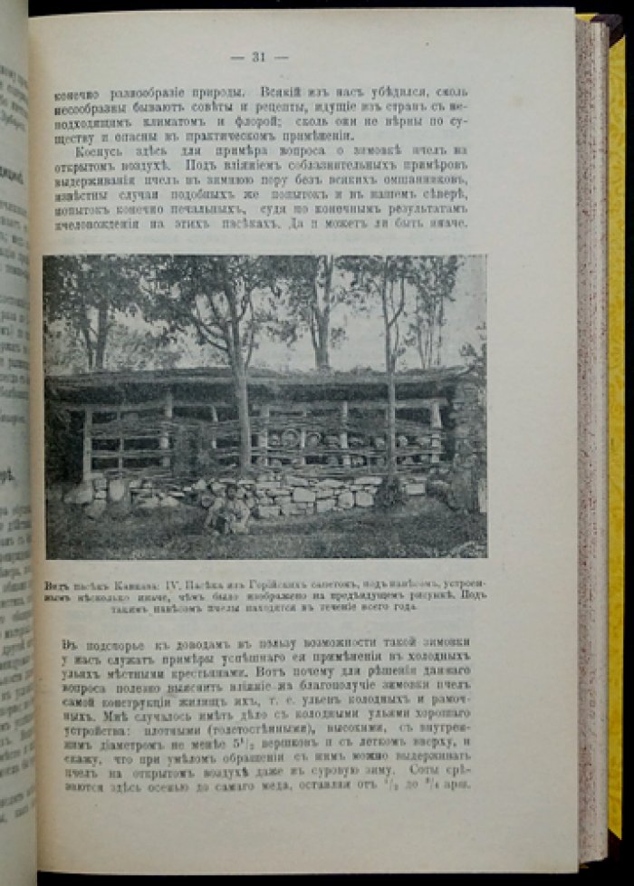 «Вестник Русского общества пчеловодства»: полный комплект номеров за 1905 год (10 выпусков, 12 номеров)