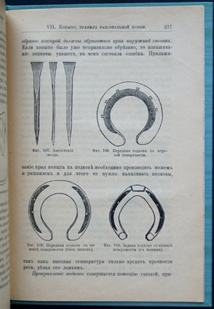 Коневодство. Учебное руководство по коннозаводской практике (3-е, дополненное и исправленное издание, 1896)