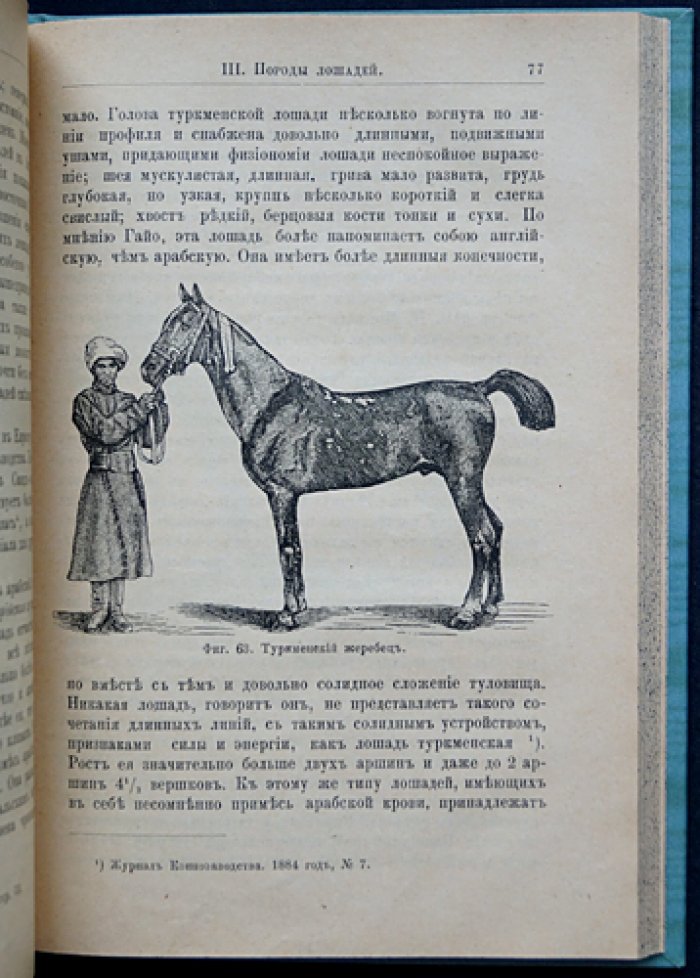 Коневодство. Учебное руководство по коннозаводской практике (3-е, дополненное и исправленное издание, 1896)