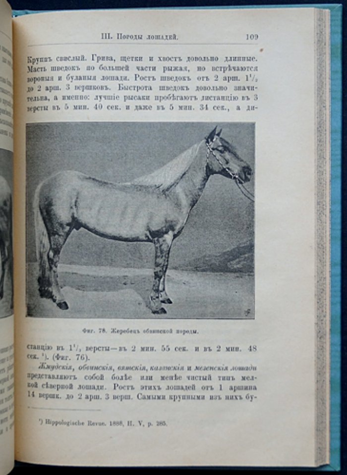 Коневодство. Учебное руководство по коннозаводской практике (3-е, дополненное и исправленное издание, 1896)
