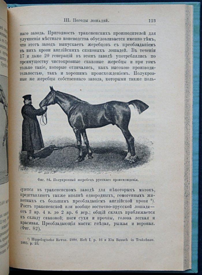 Коневодство. Учебное руководство по коннозаводской практике (3-е, дополненное и исправленное издание, 1896)