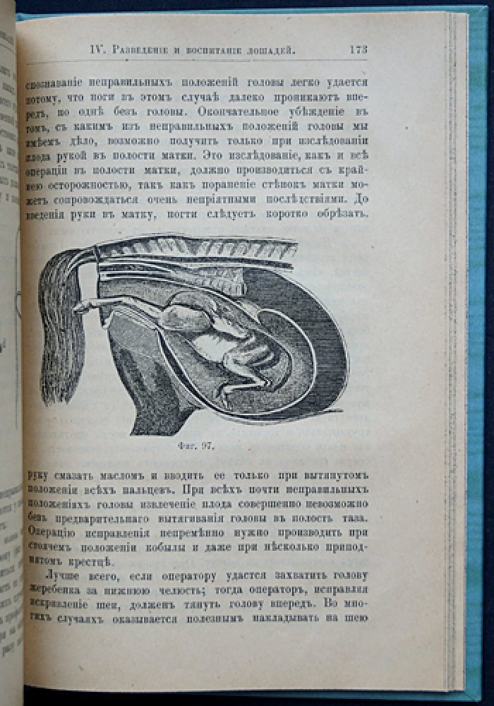 Коневодство. Учебное руководство по коннозаводской практике (3-е, дополненное и исправленное издание, 1896)