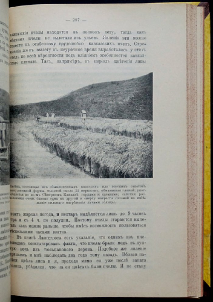 Вестник Русского общества пчеловодства — полный комплект за 1904 год (12 номеров)