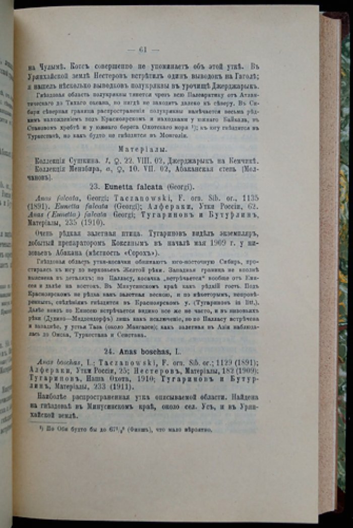 Птицы Минусинского края, Западного Саяна и Урянхайской земли (выпуск XIII, 1914)