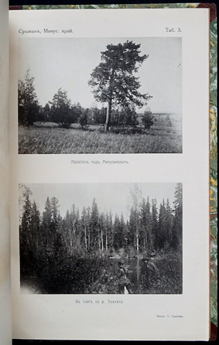 Птицы Минусинского края, Западного Саяна и Урянхайской земли (выпуск XIII, 1914)