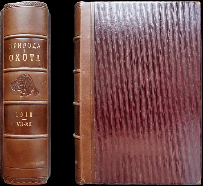 «Природа и охота» — комплект шести выпусков за второе полугодие 1910 года (№ VII–XII) с приложением «Уженье рыбы. Записки старого рыболова» (И. Т. Плетнев)