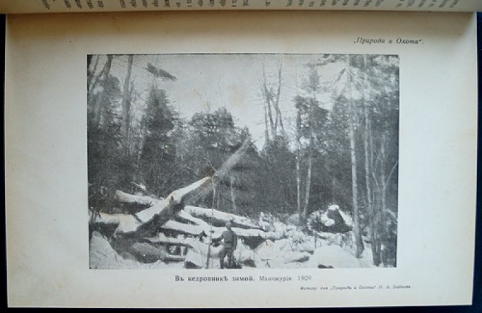 «Природа и охота» — комплект шести выпусков за второе полугодие 1910 года (№ VII–XII) с приложением «Уженье рыбы. Записки старого рыболова» (И. Т. Плетнев)