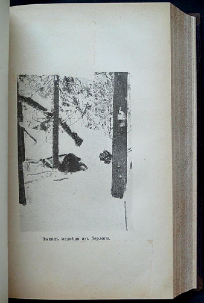 «Природа и охота» — комплект шести выпусков за второе полугодие 1910 года (№ VII–XII) с приложением «Уженье рыбы. Записки старого рыболова» (И. Т. Плетнев)