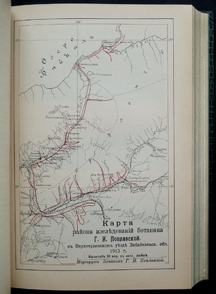Ботанические исследования в Сибири и Туркестане (1913). Предварительный отчет