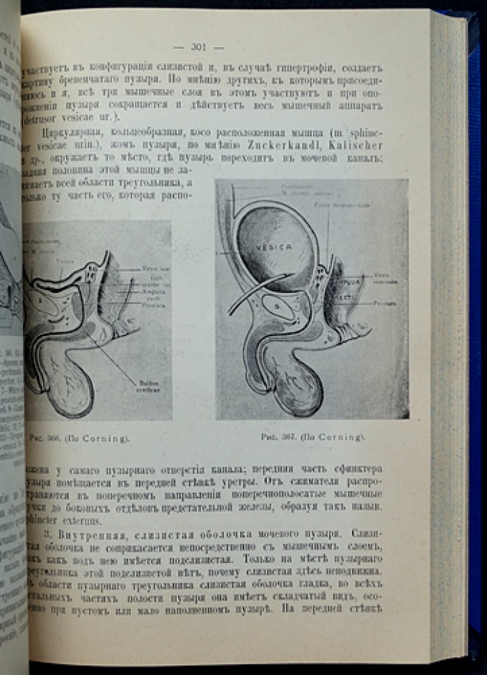 Оперативная урология. Классическое практическое руководство по хирургии мочевых путей