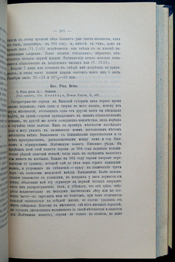 Птицы Минской губернии: иллюстрированное исследование В. Н. Шнитникова с картой и чертежами (1913)