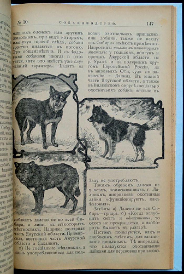 «Собаководство». Ежемесячный иллюстрированный журнал об охотничьих собаках (1909, № 1–12, годовой комплект)