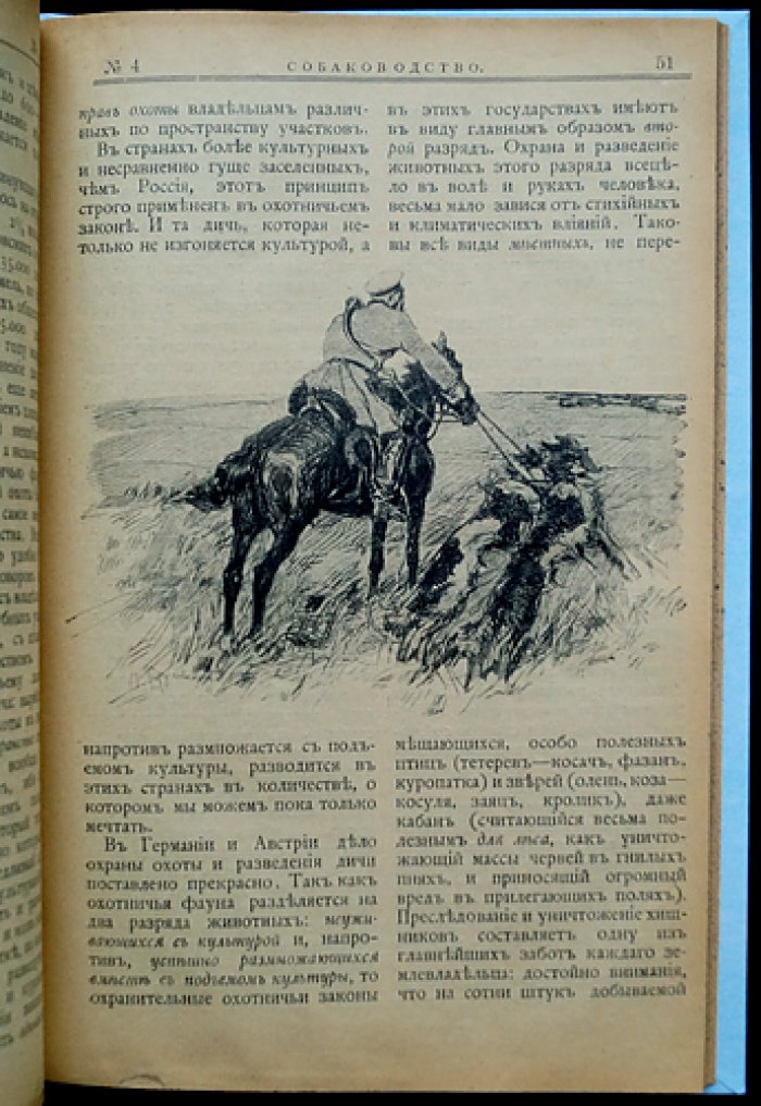 «Собаководство». Ежемесячный иллюстрированный журнал об охотничьих собаках (1909, № 1–12, годовой комплект)
