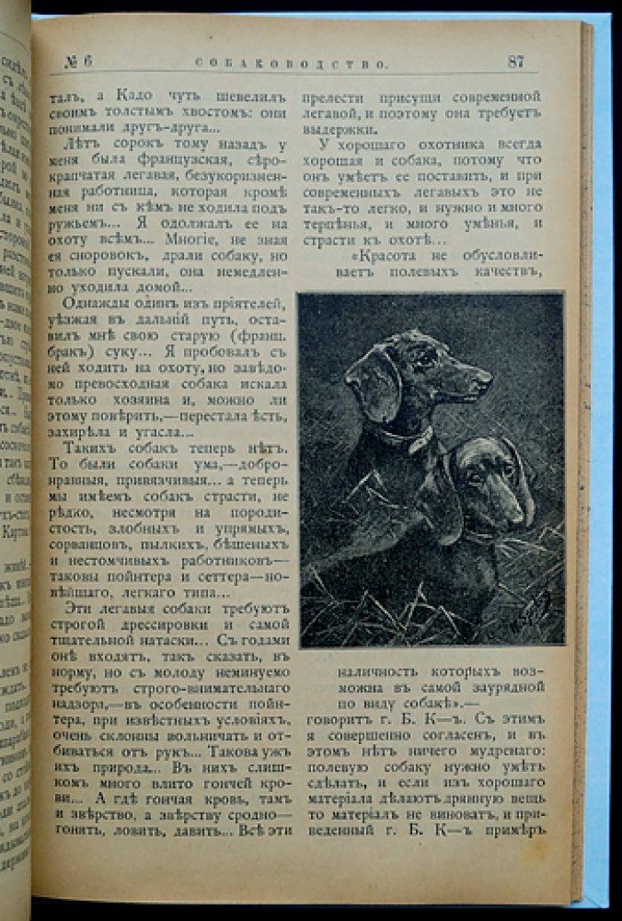 «Собаководство». Ежемесячный иллюстрированный журнал об охотничьих собаках (1909, № 1–12, годовой комплект)