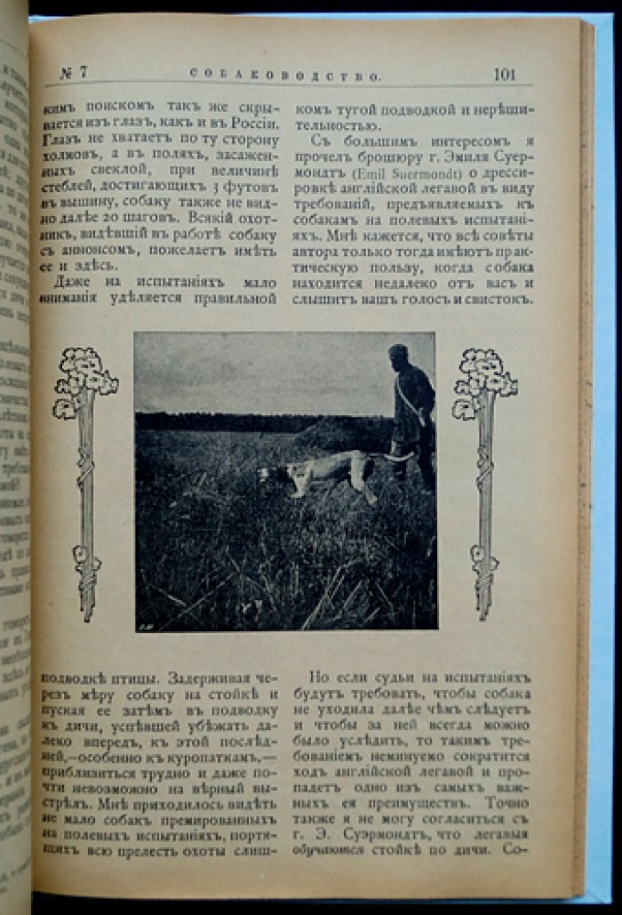 «Собаководство». Ежемесячный иллюстрированный журнал об охотничьих собаках (1909, № 1–12, годовой комплект)