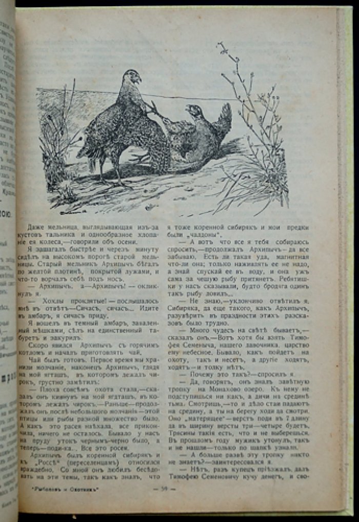 Охотник. Иллюстрированный журнал ружейной охоты и собаководства: полный комплект двенадцати номеров за 1913 год