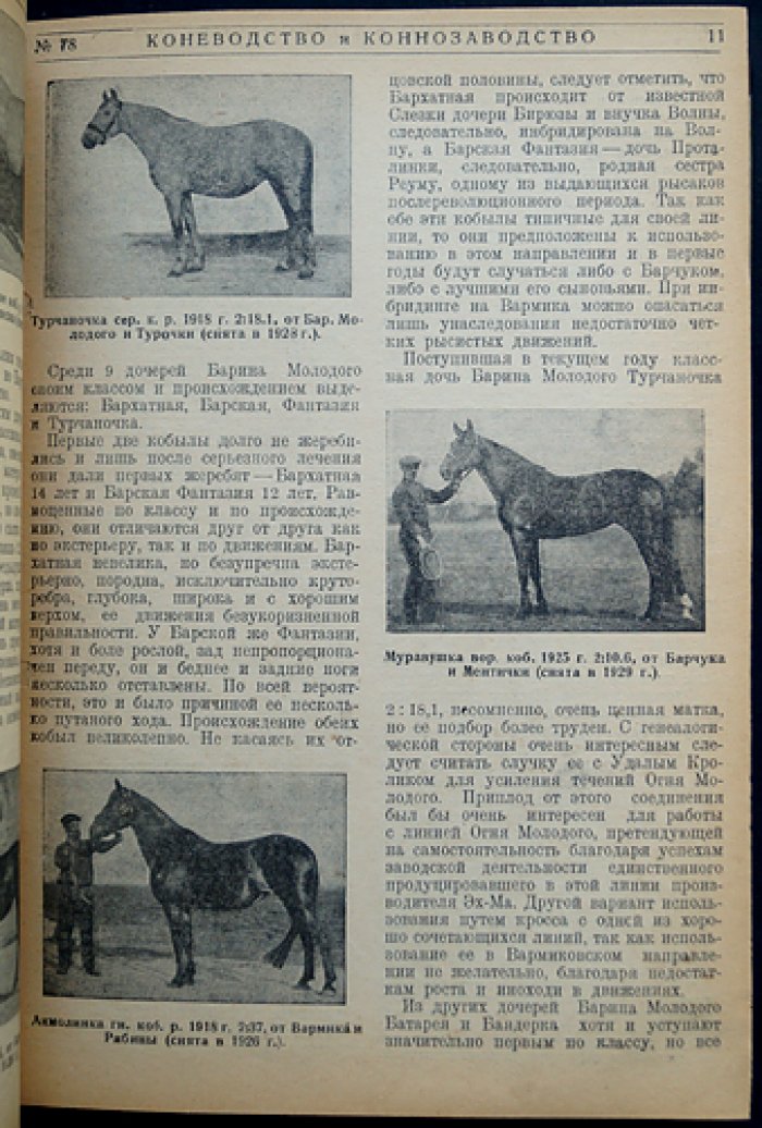 «Коневодство и коннозаводство» — журнал. Годовой комплект 1930 г. (№ 78–87, 1(88)–7(94))