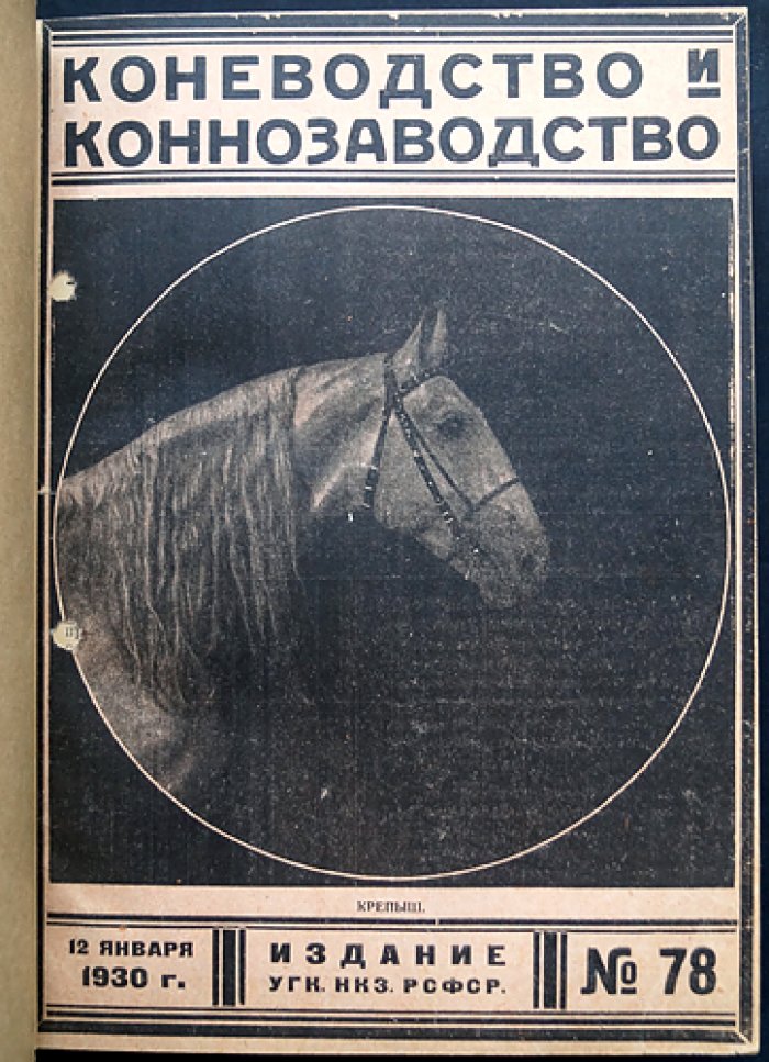 «Коневодство и коннозаводство» — журнал. Годовой комплект 1930 г. (№ 78–87, 1(88)–7(94))