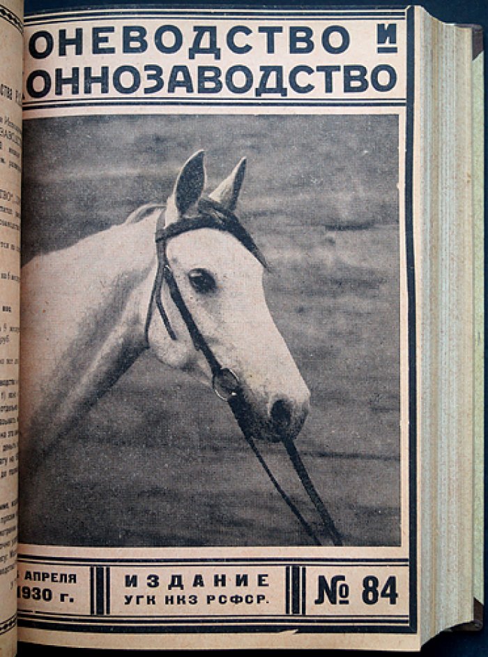 «Коневодство и коннозаводство» — журнал. Годовой комплект 1930 г. (№ 78–87, 1(88)–7(94))