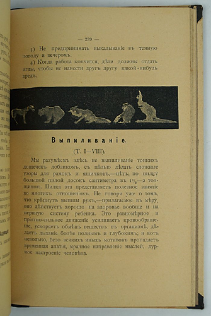 Детский сад. Практическое руководство для детских садовниц (3-е изд., переработанное, с таблицами игр и занятий)