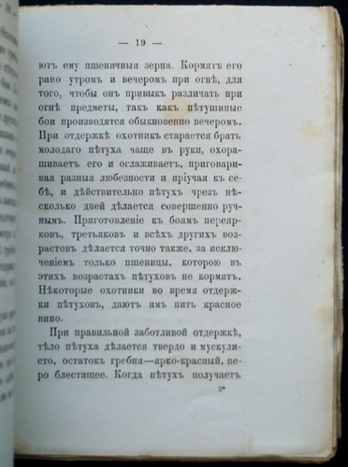 О петушиных боях в Москве: охота, ставки и нравы XIX века
