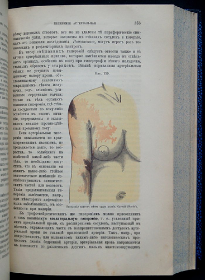 Основы общей и экспериментальной патологии: 3-е издание, существенно переработанное и дополненное