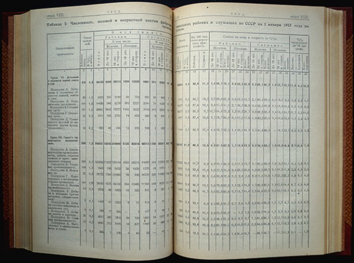 Сборник статистических сведений по Союзу ССР (1918–1923). Итоги работы Центрального статистического управления за пять лет