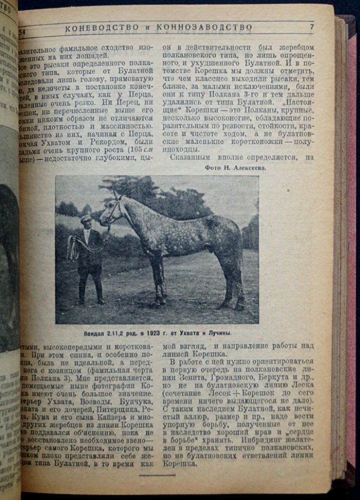 «Коневодство и коннозаводство»: журнал 1929 г., № 52–77