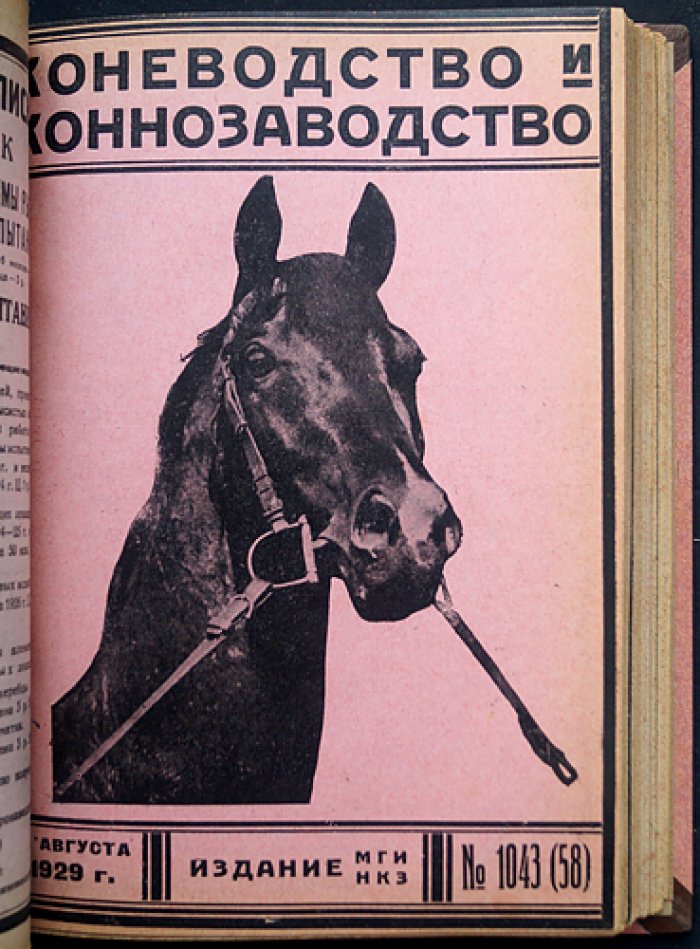«Коневодство и коннозаводство»: журнал 1929 г., № 52–77