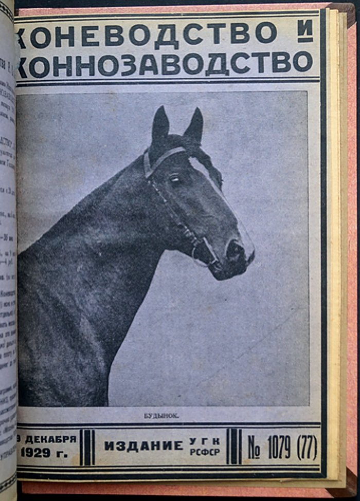«Коневодство и коннозаводство»: журнал 1929 г., № 52–77