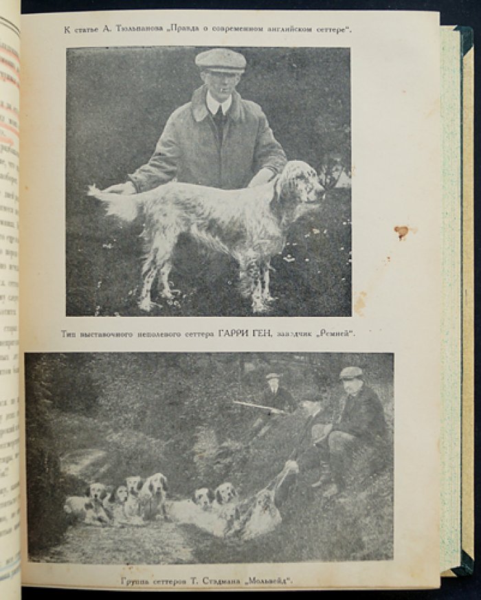 Сборник ДОКСа «Зима 1924–1925 гг.»: кинология, ветеринария и хроника донского собаководства